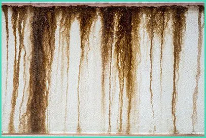 West Palm Beach Restoration Company West Palm Beach, FL 561-404-8238 - mold-content