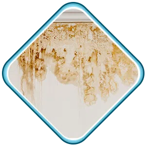 West Palm Beach Restoration Company West Palm Beach, FL 561-404-8238 - sid-flood-wgr-39